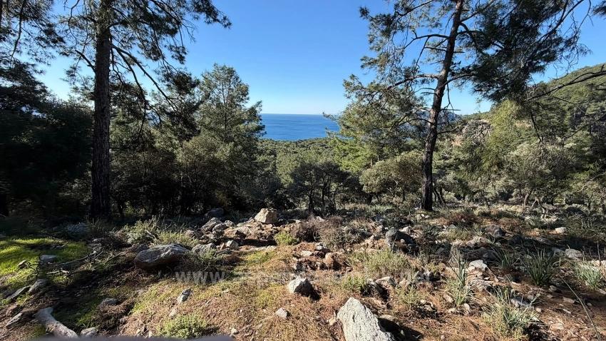 Köyceğiz Çandır Mah. Satılık Tarla - Konut İmar Durumlu - 5.715 m²