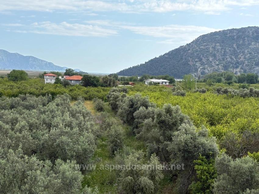 Çandır'da Deniz Ve Göl Manzaralı 1.721M2 Satılık Tarla