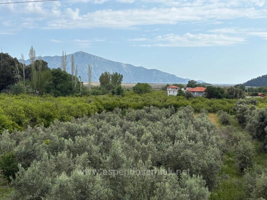 Çandır'da Deniz Ve Göl Manzaralı 1.721M2 Satılık Tarla