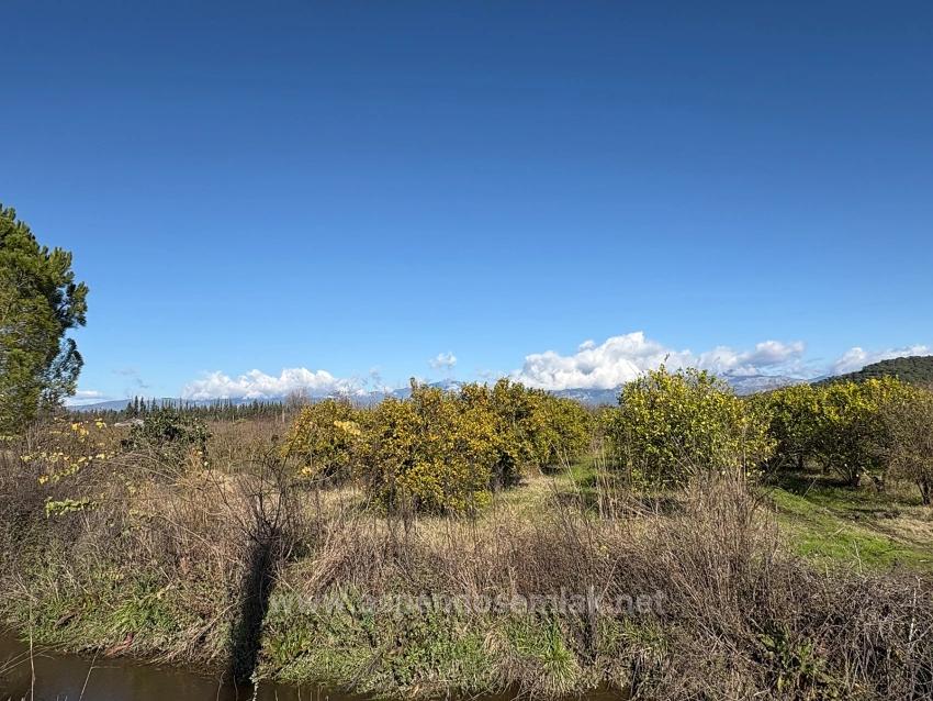 Tepearası'nda 23000M2 Müstakil Satılık Tarla