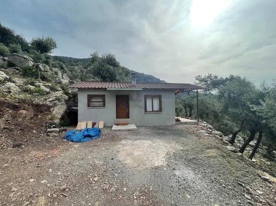 Köyceğiz Ekincik deniz manzaralı 7.000m2 2b satılık zeytinlik