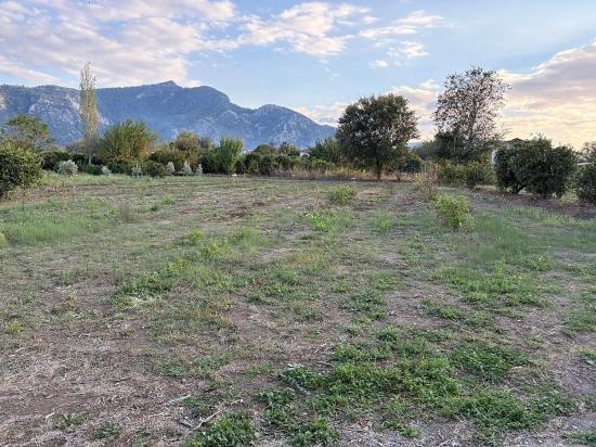 Dalyan'da 7.450M2 %5 İmarlı Satılık Arsa