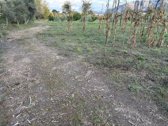Dalyan'da 7.450M2 %5 İmarlı Satılık Arsa