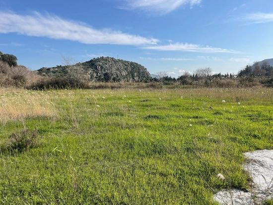 Dalyan'da 6800 M2 %5 Konut İmarlı Satılık Arsa