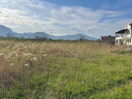Dalyan'da 6800 M2 %5 Konut İmarlı Satılık Arsa