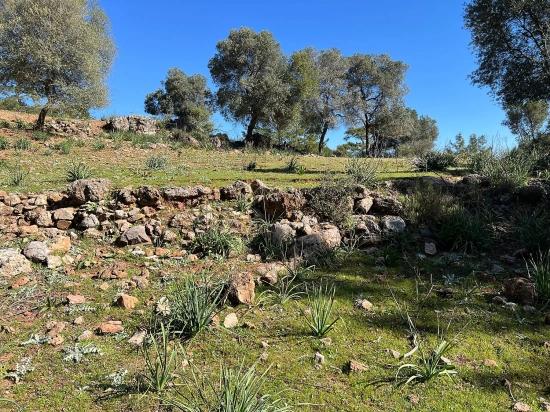 Gökbel'de Doğa Ve Orman İçerisinde Satılık Tarla