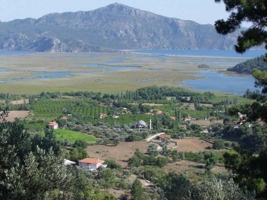 Köyceğiz Çandır'da 19.334M2 Satılık Tarla