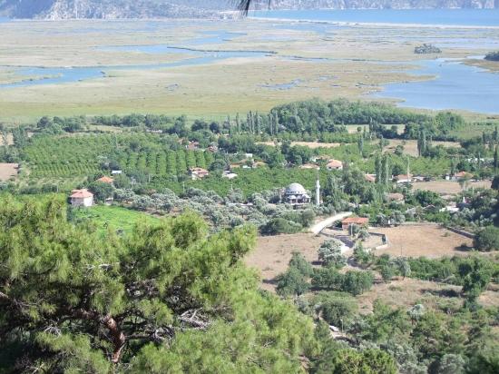 Köyceğiz Çandır'da 19.334M2 Satılık Tarla