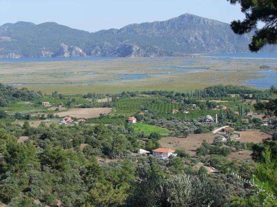 Köyceğiz Çandır'da 19.334m2 Satılık Tarla