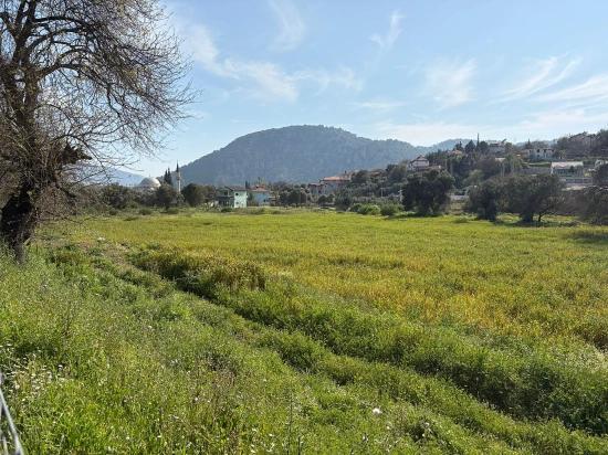 Köyceğiz Çandır Köyü'de Hisseli Rızai Taksimli 2.023M2 Satılık Tarla