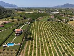 Dalyan Merkeze Yakın 5100M2 Satılık Tarla