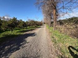 Okçular'da Yerleşik Alanında 4,326M2 Satılık Arsa