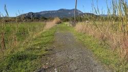 Okçular'da 509M2 Satılık Arsa