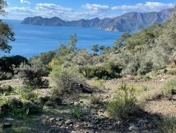 Köyceğiz Çandır Mah. Satılık Tarla - Tarla İmar Durumlu - 20.000 m²
