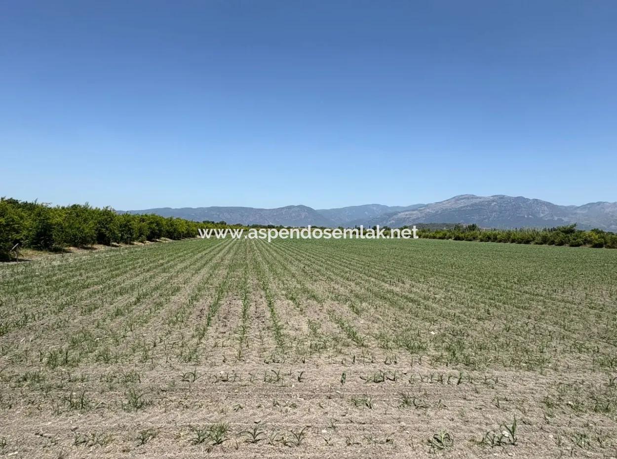 Tepearası'nda 46,550M2 Satılık Tarla