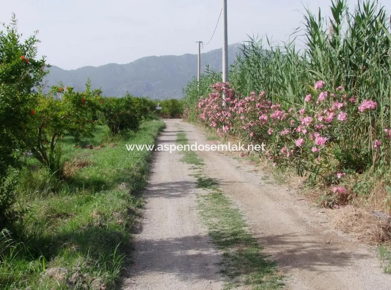 Dalyan İztuzu Satılık Bahçe Dalyan Göle Sıfır Satılık Arsa
