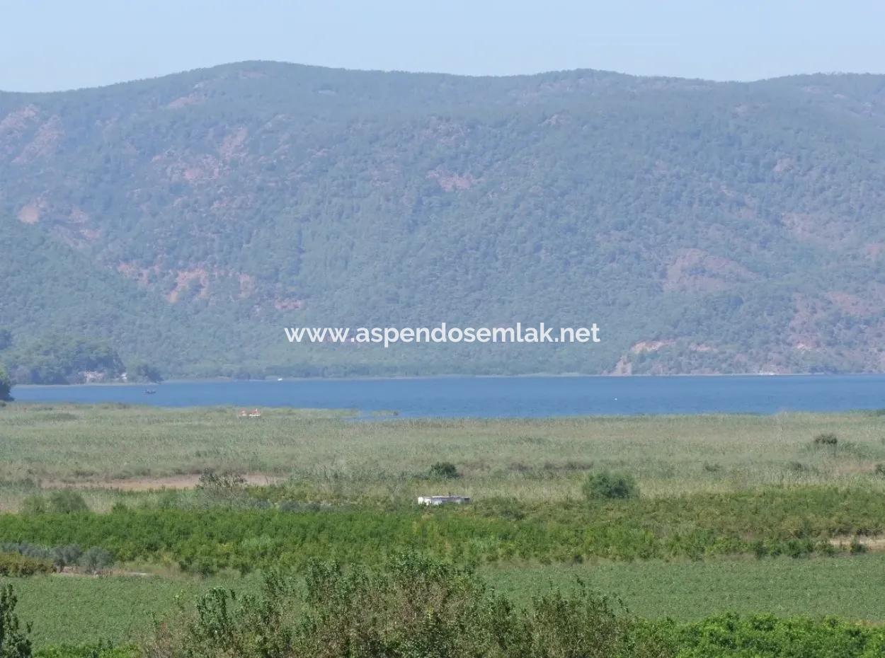 Dalyan Satılık Tarla Dalyan 73410M2 Satılık Tarla