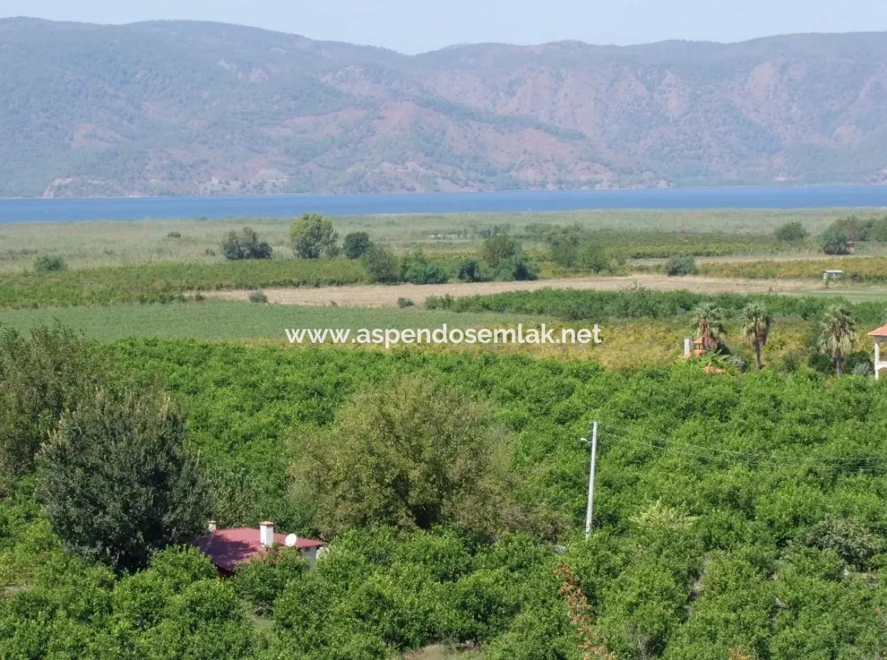 Dalyan Satılık Tarla Dalyan 73410M2 Satılık Tarla