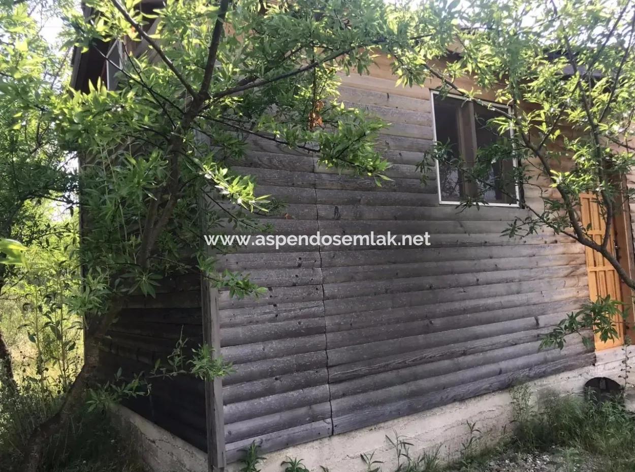 Seydikemer Korubükün Satılık 76000M2 Ciftlik Arazisi