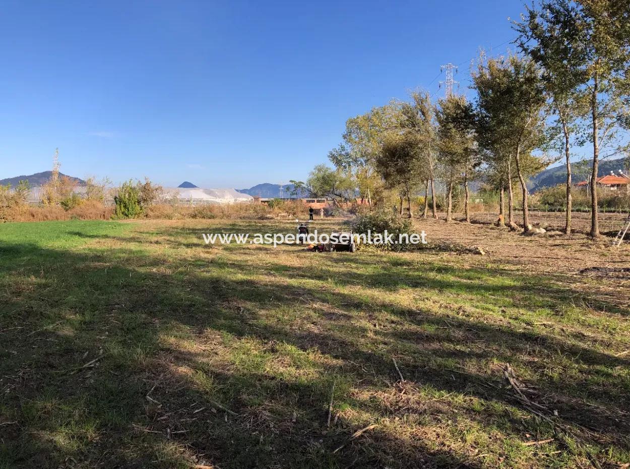 Dalyan'da 2540M2 Satılık Arsa