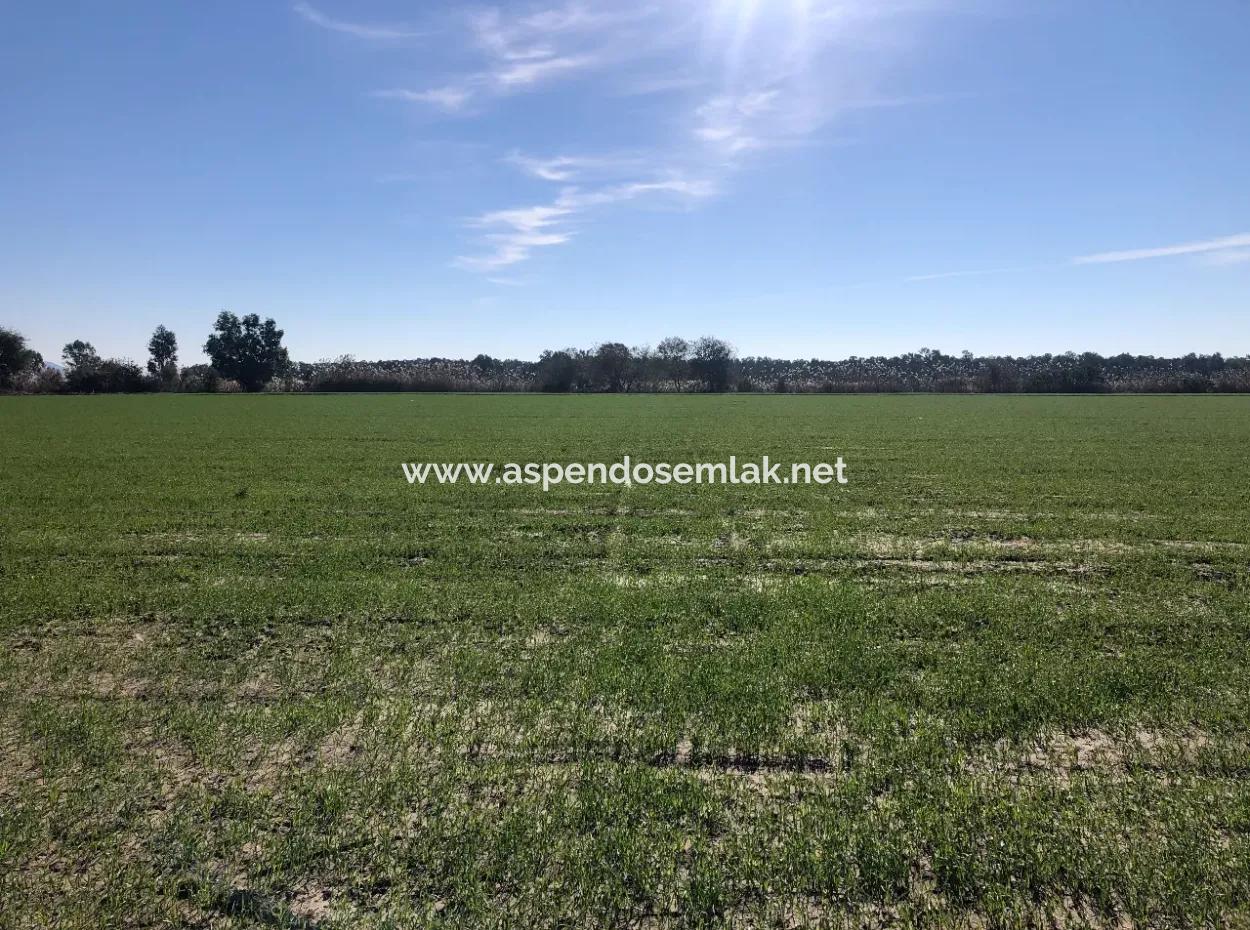 Sarıgermede Satılık Arsa Deniz Manzaralı 30,000M2 Satılık Arsa