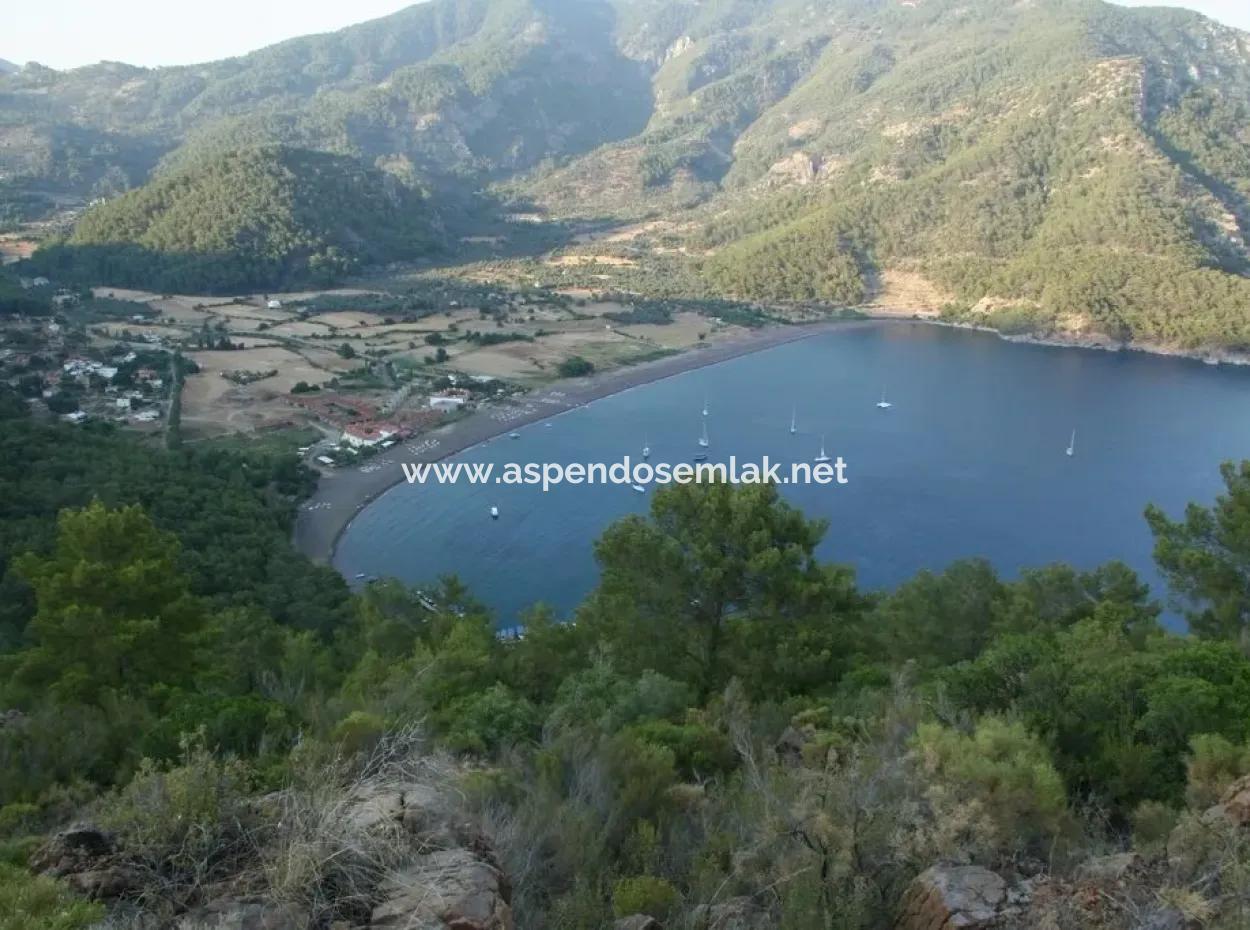 Ekincik Satılık Arsa Full Deniz Manzaralı 10885M2 Denize Bir Parsel Satılık Arsa