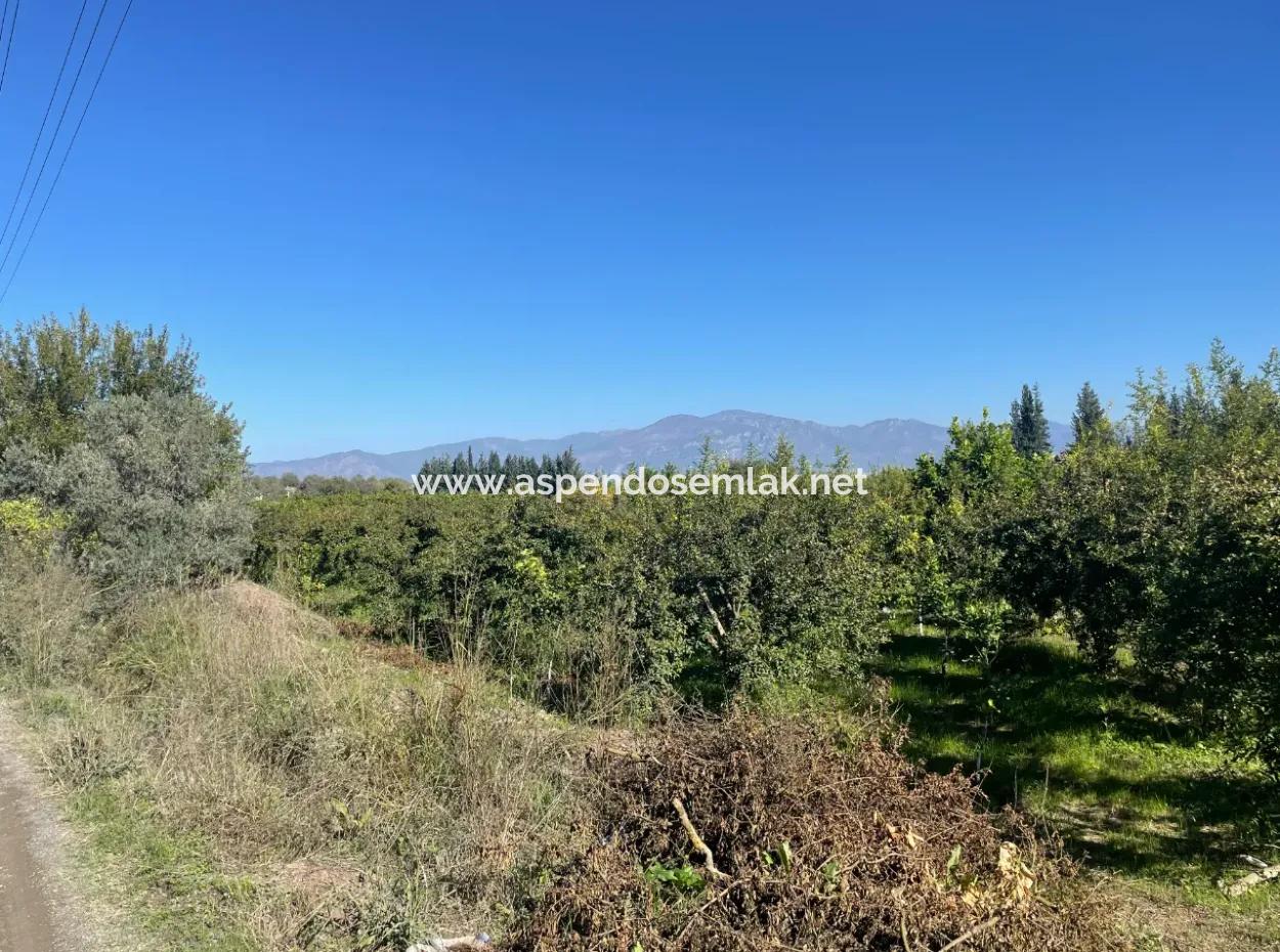 Dalyan'da Satılık 2223M2 Tarla