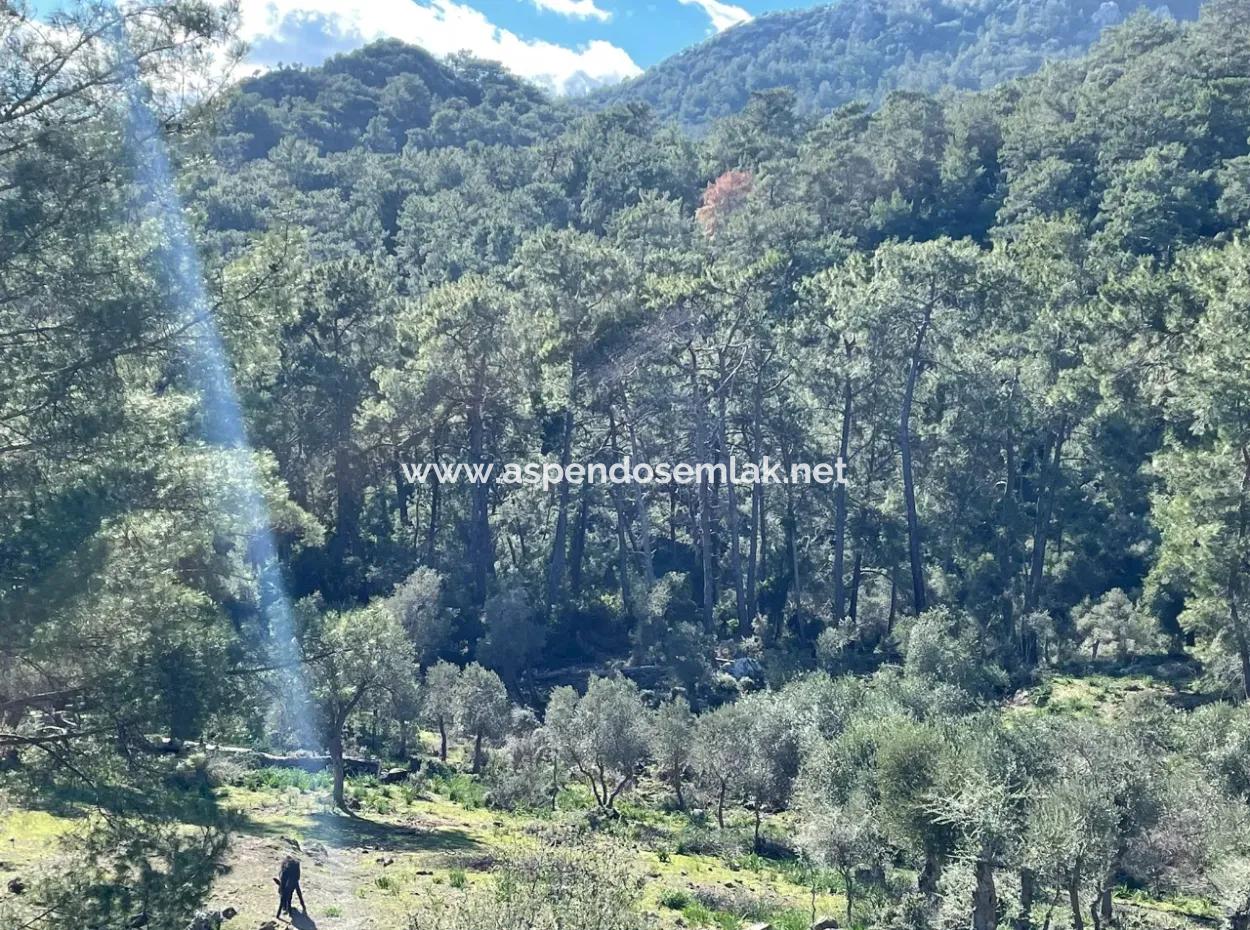 Çandır Da Göl Manzaralı 4000M2 Satılık Tarla