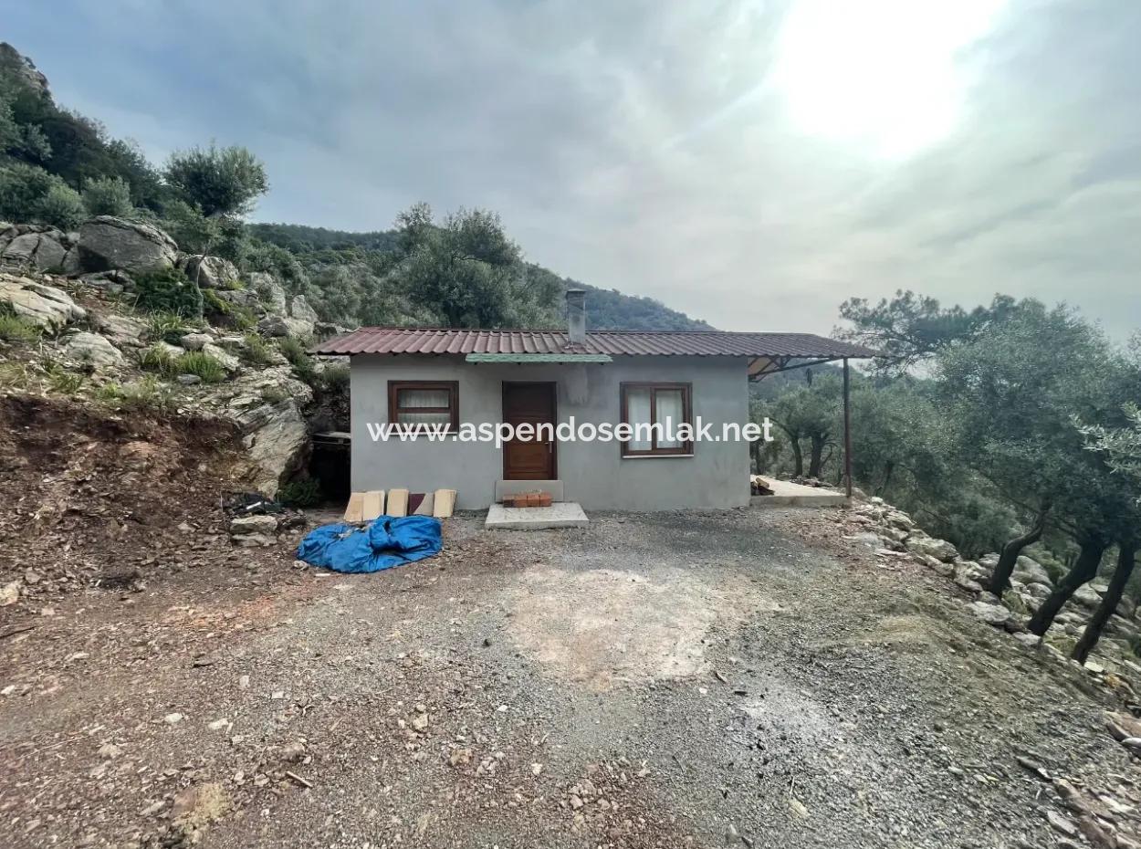 Ekincikde Deniz Manzaralı Zeytin Evi Satılıktır