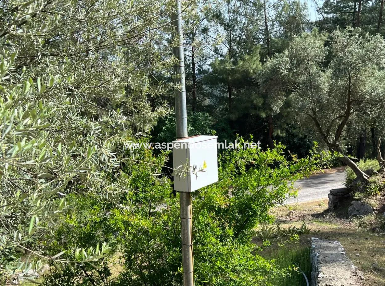 Ekincik Deniz Manzaralı Satılık Müstakil Ev