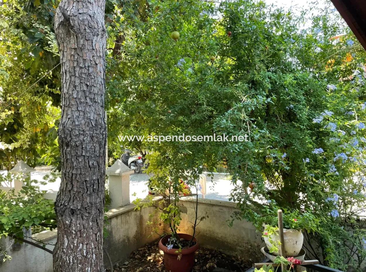 Dalyan Merkezde 5+1 Satılık Villa