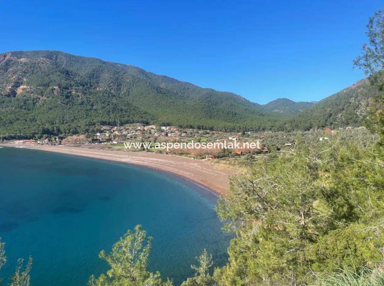 Ekincik'de Denize Yakın Manzaralı 3250M2 Satılık Arazi