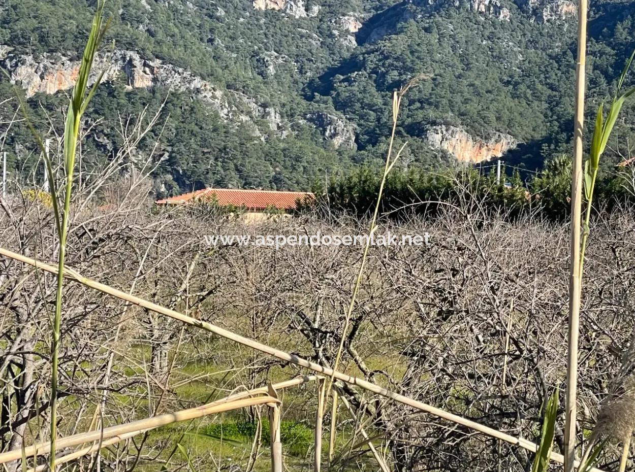 Dalyan İztuzu Yoluna Sıfır 5216M2 Satılık Tarla Arsa