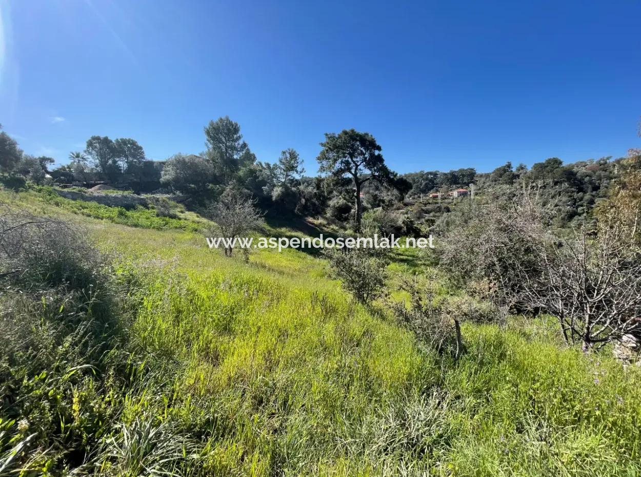 Gökbel'de Full Deniz Manzaralı 4,400M2 Arsa İçinde Satılık Köy Evi