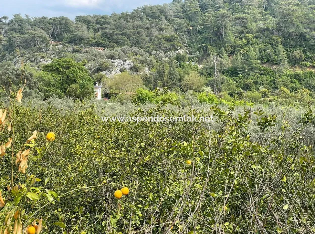 Çandır'da Yola Sıfır 5000M2 Satılık Tarla