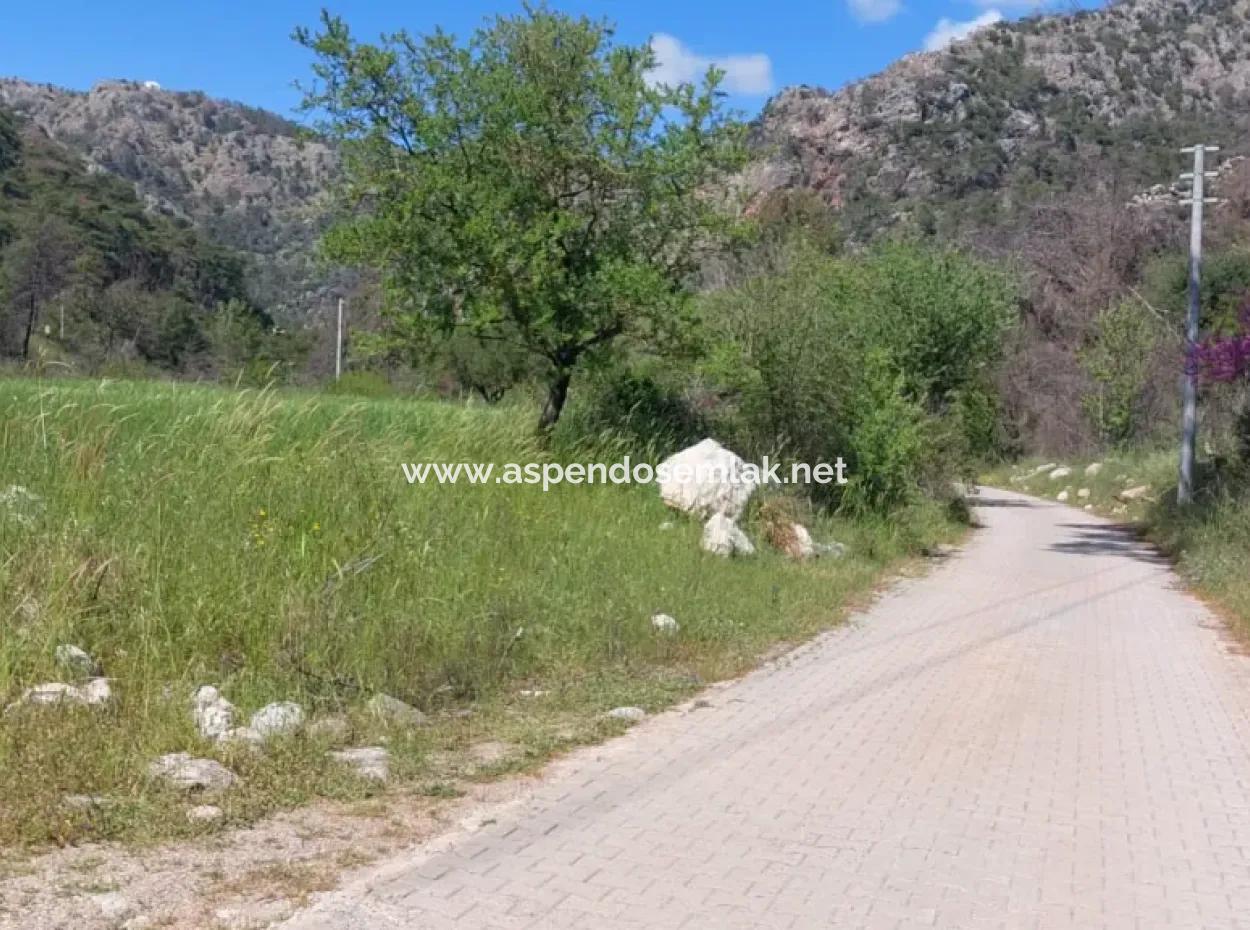 Marmaris Turgut Yatırımlık Satılık 29600M2 Satılık Arazi