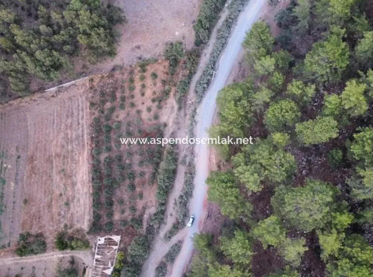 Mergenlide Aşı Koyu Yolu Üzerinde Satılık 3578M2 Tarla