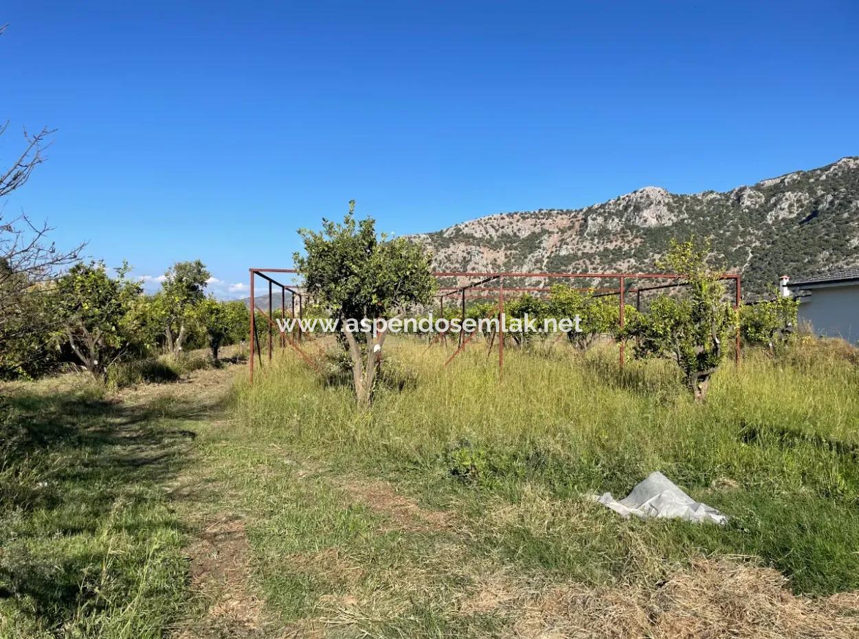 Dalyan'da Merkeze Yakın 6600M2 Satılık Tarla