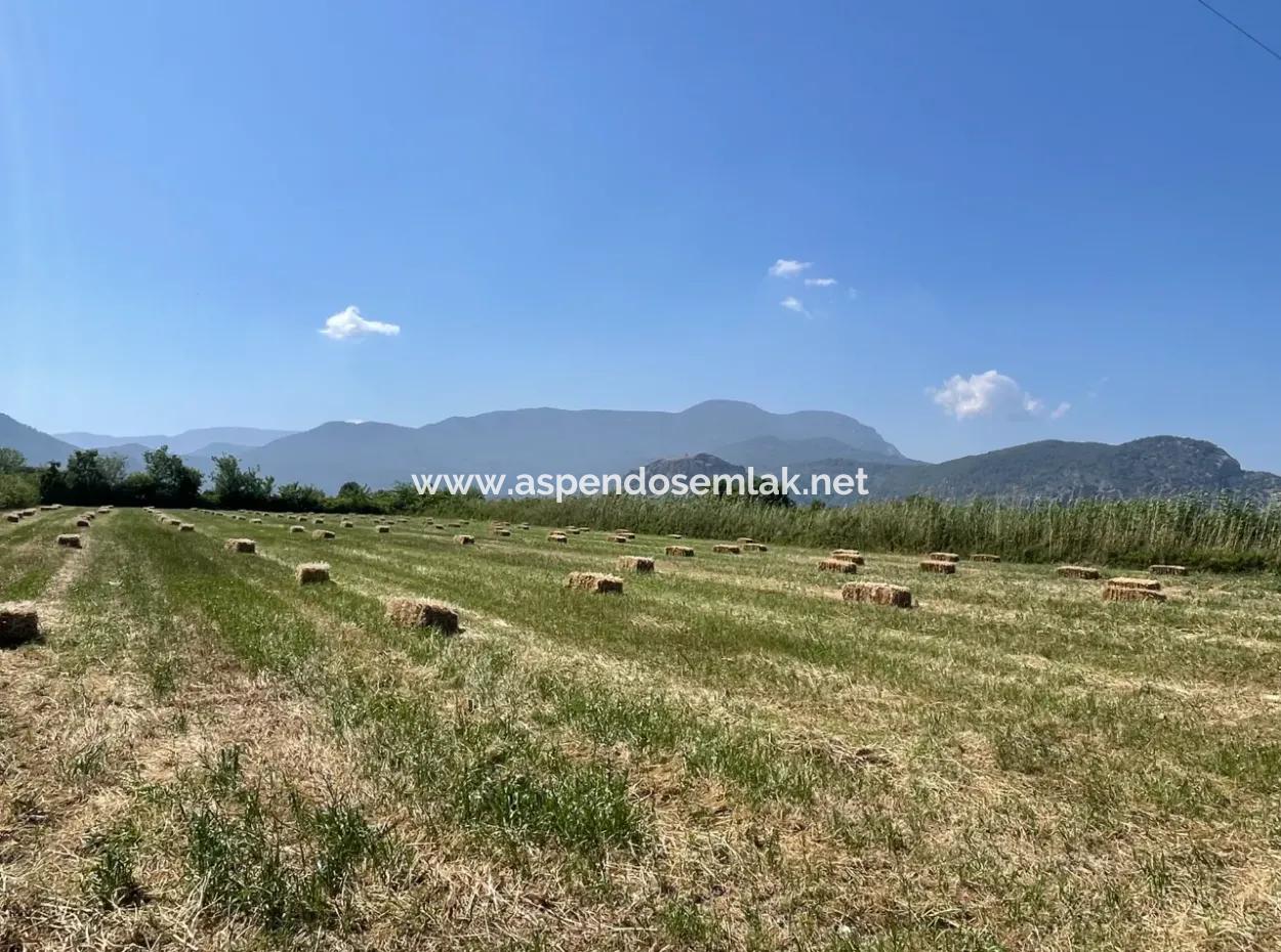 Dalyan'da İztuzu Yoluna Sıfır 6,500M2 Satılık Tarla