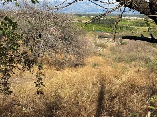 Dalyan Karadağ'da Göl Manzaralı 5.000m2 Satılık Tarla