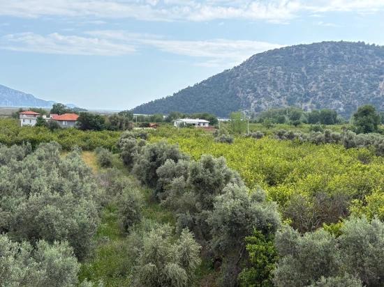 Çandır'da Deniz Ve Göl Manzaralı 1.721m2 Satılık Tarla